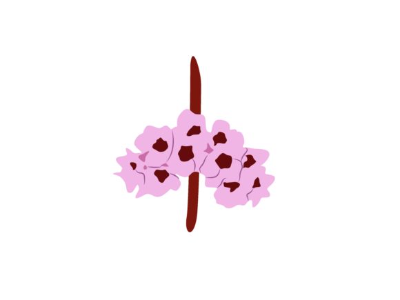 Bergenia Flower Gráfico Ilustrações para Impressão Por archshape