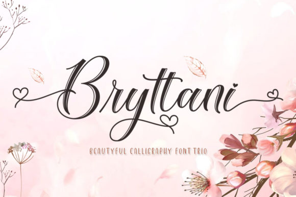 Bryttani Script & Handwritten Font By softcreative50