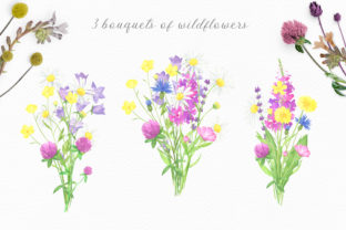 Summer Wildflowers Watercolor Collection Graphic Illustrations By kristinazukova430 3