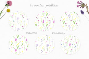 Summer Wildflowers Watercolor Collection Graphic Illustrations By kristinazukova430 4