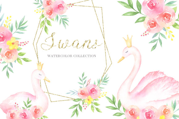 Swans Watercolor Collection Graphic Illustrations By kristinazukova430