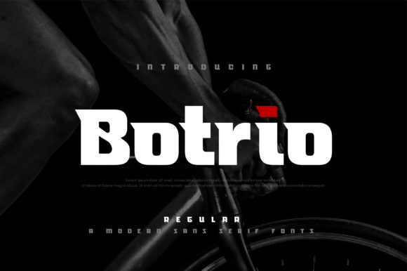Botrio Display Font By geengraphy