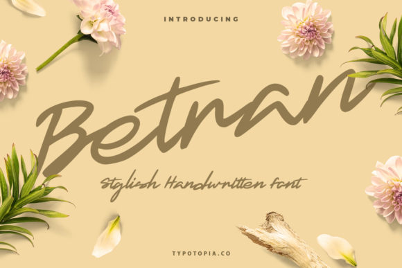 Betran Script & Handwritten Font By typotopia