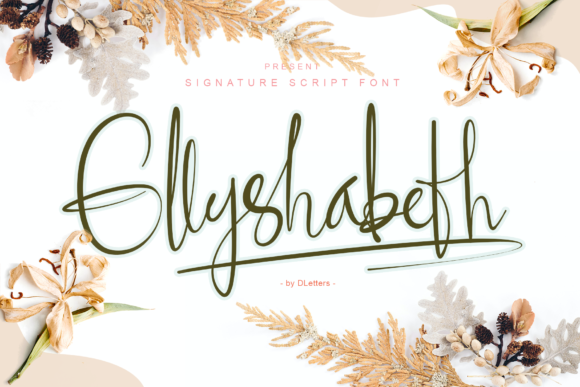 Ellyshabeth Script & Handwritten Font By DLetters.std