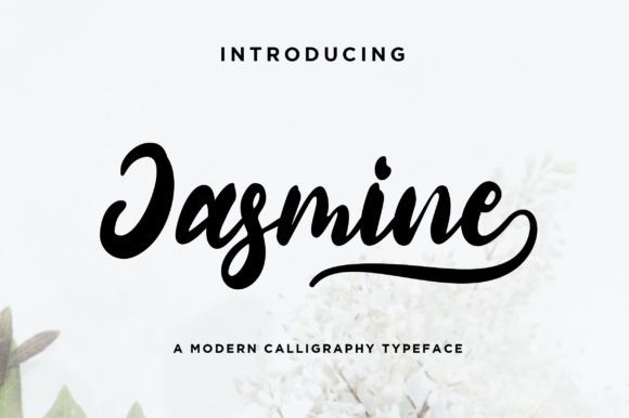 Jasmine Script & Handwritten Font By fanastudio