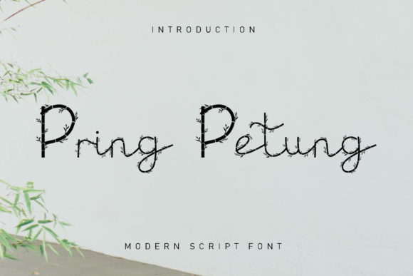 Pring Petung Decorative Font By GiaLetter