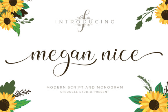Megan Nice Script Fonts Font Door Struggle Studio