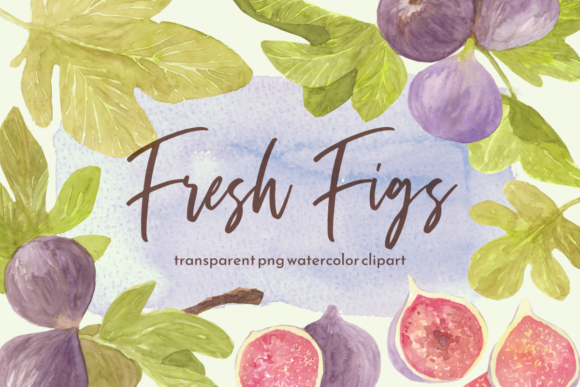 Watercolor Figs Clipart Set Afbeelding Afdrukbare Illustraties Door roselocket