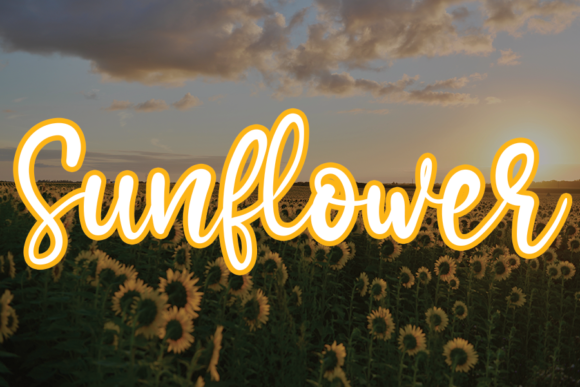 Sunflower Fontes Script Font By andikastudio