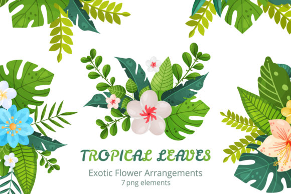 Exotic Flower Arrangements PNG 4 Graphic Illustrations By KozaDereza