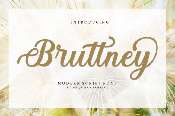 Bruttney Skript-Schriftarten Schriftart Von Stellar Studio