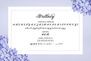 Bruttney Script & Handwritten Font By Stellar Studio 6