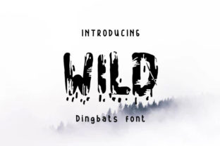 Wild Display Font By Ciriative 2
