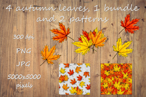Autumn Maple Leaves Bundle Graphic Illustrations By Citrum Nobile