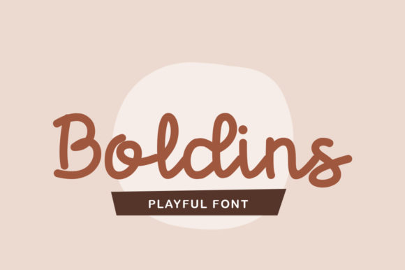 Boldins Script & Handwritten Font By Jupiter Studio