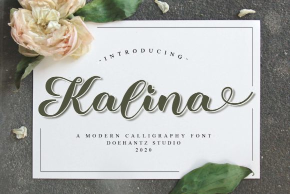 Kalina Script & Handwritten Font By Doehantz Studio