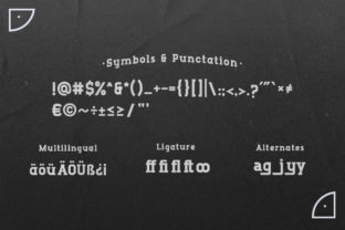 Runboy Slab Serif Font By TypeFactory 3