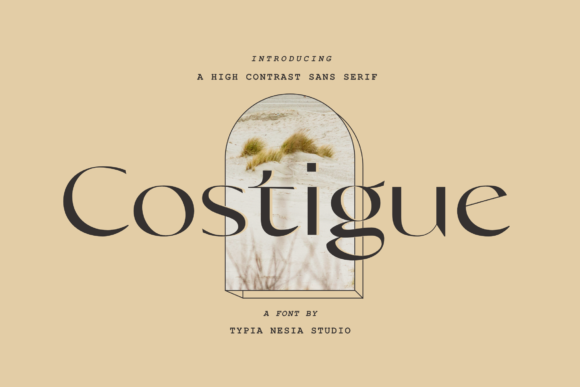 Costigue Serif Font By Typia Nesia