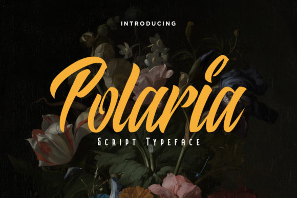 Polaria Script & Handwritten Font By typotopia