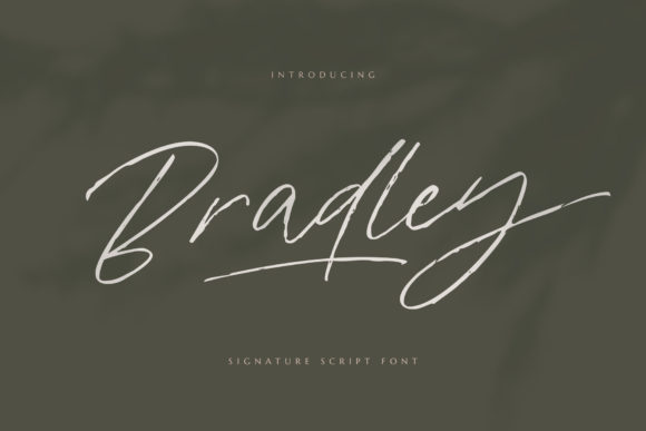 Bradley Script & Handwritten Font By Bekeen.co