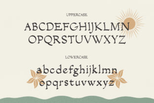Salacia Serif Font By TypeFactory 2