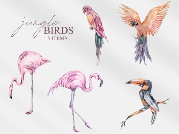 Watercolor Tropical Birds Clipart Graphic Illustrations By Tiana Geo