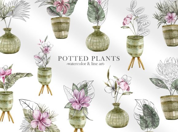 Watercolor Potted Plants Clipart. Graphic Illustrations By Tiana Geo