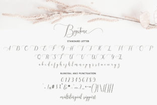 Bigstone Script & Handwritten Font By bungreja123 5