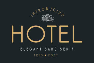 Hotel Sans Serif Font By fontherapy 1