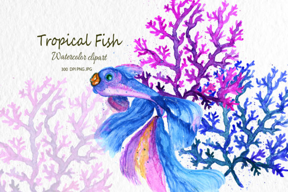 Watercolor Blue Fish Watercolor Clipart Graphic Illustrations By SavirinaArt