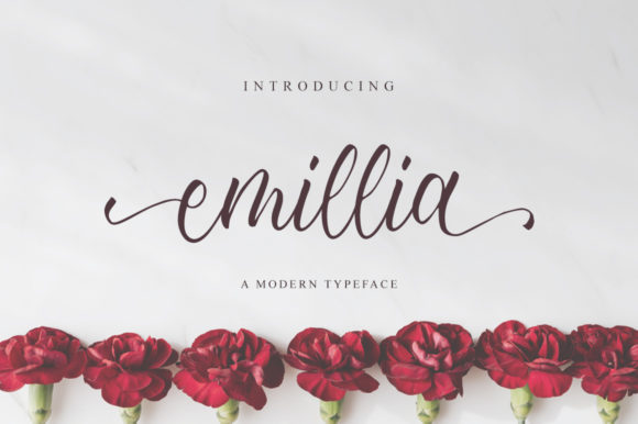 Emillia Script & Handwritten Font By fanastudio
