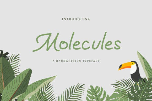 Molecules Script & Handwritten Font By fanastudio