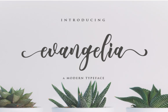 Evangelia Script & Handwritten Font By fanastudio