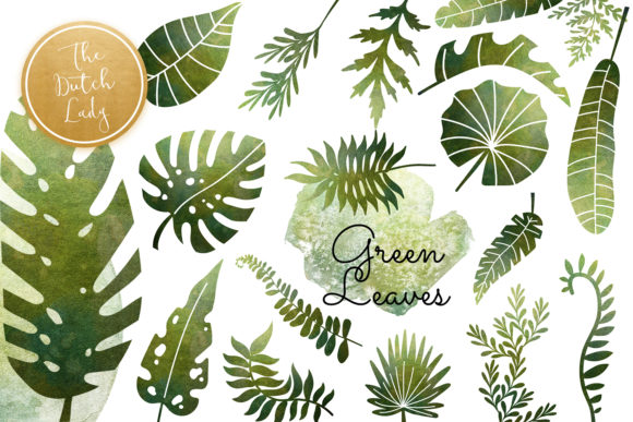 Green Shiny Leaf Clipart Set Graphic Illustrations By daphnepopuliers