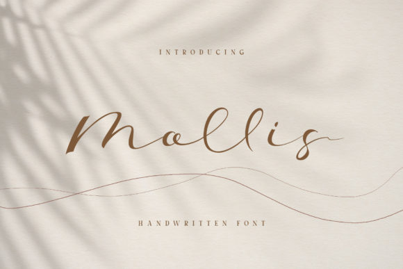 Mollis Script & Handwritten Font By Alit Design
