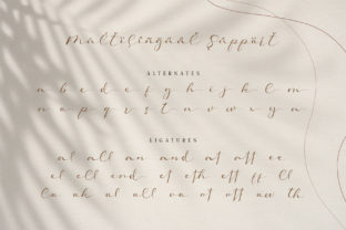 Mollis Script & Handwritten Font By Alit Design 2
