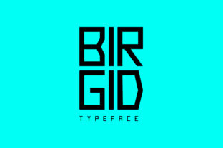 Birgid Display Font By Design Stag 2