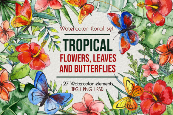 Tropical Exotic Leaves & Flowers Graphic Illustrations By AlenserArt