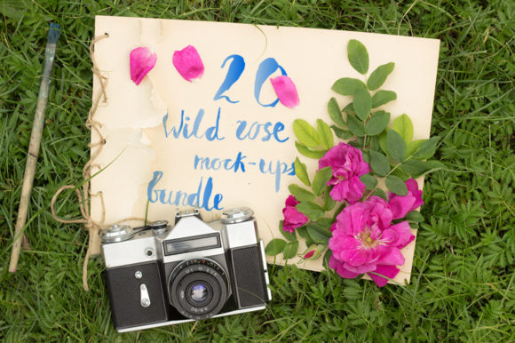 20 Wild Rose Mock-up Collection Graphic Product Mockups By Ana Babi
