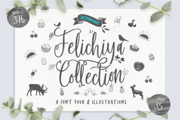 Felichiya Collection Script & Handwritten Font By jimtypestudio