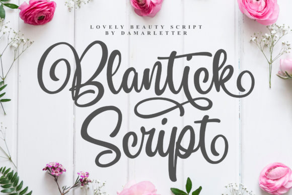 Blantick Script & Handwritten Font By Damarletter