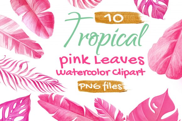 Tropical Palm Leaf Pink Watercolor Graphic Objects By artpanda2018