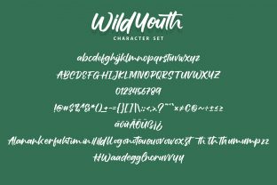 Wildyouth Script & Handwritten Font By Vunira 7