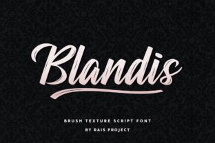 Blandis Script & Handwritten Font By RaisProject 1