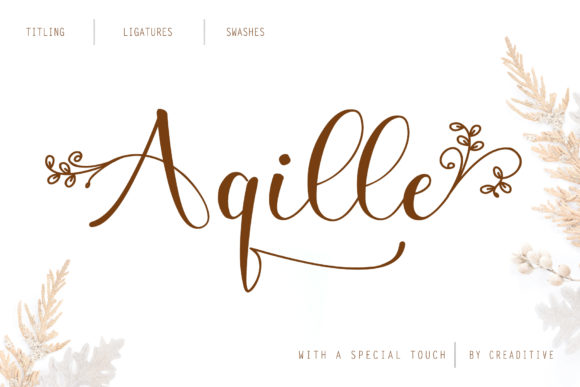 Aqille Script & Handwritten Font By Creaditive Design