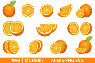 Delicious Orange Fruit Clipart Set Graphic Illustrations By Emil Timplaru Store
