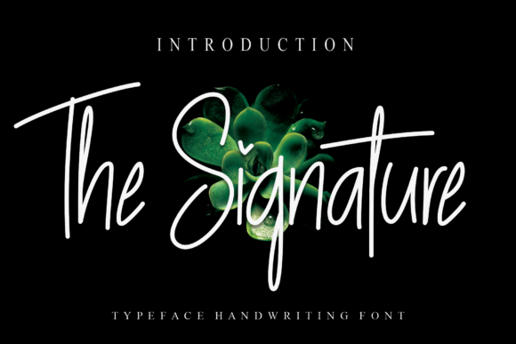 The Signature Script & Handwritten Font By Creativewhitee
