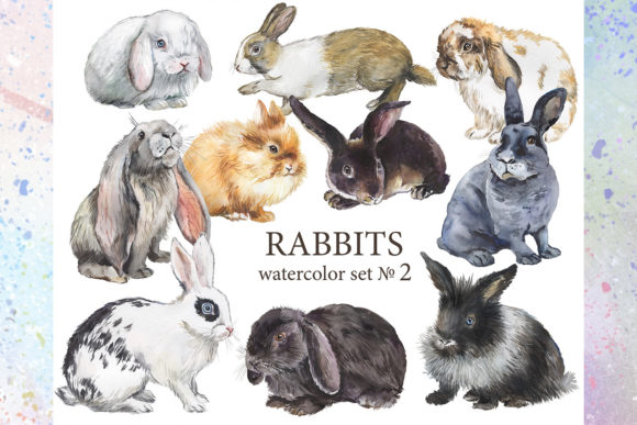 Rabbits Clipart, Fluffy Farm Pet, Bunny Graphic Add-ons By SArtPrint