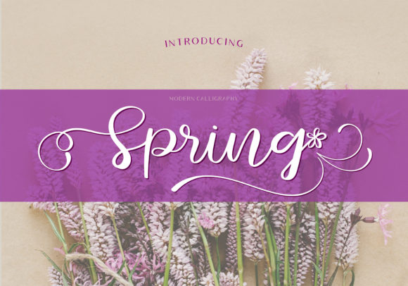 Spring Fuentes Caligráficas Fuente Por BB Type Studios