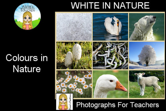 Colours in Nature - White Gráfico Fichas y Material Didáctico Por Aisne's Educlips